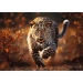 PUZZLE 1000 ELEMENTÓW PREMIUM PLUS DZIKI LEOPARD LAMPART 10818 TREFL