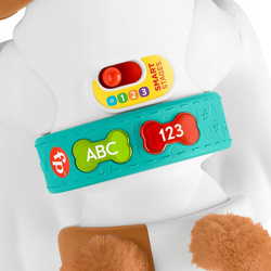 FISHER-PRICE PIESEK INTERAKTYWNY RACZKUJ ZE MNĄ EDUKACYJNY LICZENIE ALFABET