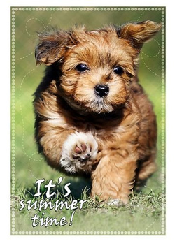 PUZZLE ZABAWA LATEM PIES PIESEK 100 EL - TREFL