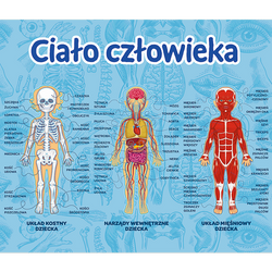 GRA EDUKACYJNA DLA DZIECI CIAŁO CZŁOWIEKA MISTRZ WIEDZY ANATOMIA - TREFL