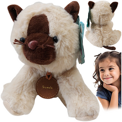 PLUSZAK MASKOTKA KOTEK UROCZA PRZYTULANKA MIĘKKA 18 cm KOT SYJAMSKI