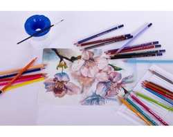 KREDKI OŁÓWKOWE AKWARELOWE 24 KOLORY I PĘDZELEK SZKOLNE ASTRA