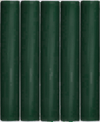 PLASTELINA SZKOLNA 5 SZTUK ASTRA - CIEMNO ZIELONA