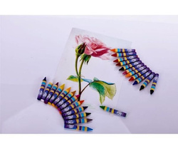 KREDKI ŚWIECOWE JUMBO GRUBE 24 KOLORY INTENSYWNE SZKOLNE ŻYWE ASTRA