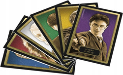 HARRY POTTER GRA PLANSZOWA DETEKTYWISTYCZNA CLUEDO WERSJA POLSKA HASBRO