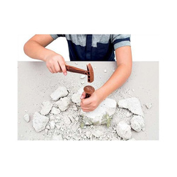 WYKOPALISKA SKAMIENIAŁOŚCI DINOZAUR TRICERATOPS FLUORESCENCYJNY CLEMENTONI