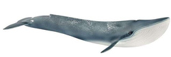 SCHLEICH PŁETWAL BŁĘKITNY WIELORYB WILD LIFE FIGURKA KOLEKCJONERSKA ZWIERZĘ