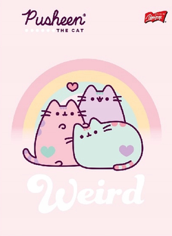 ZESZYT A5/32K KOLOROWA 3LINIA PUSHEEN MIX WZORÓW