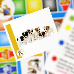 GRA EDUKACYJNA SUPER QUIZ 1000 PYTAŃ NAUKA KARTY MAŁY GENIUSZ LISCIANI