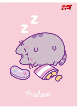 ZESZYT A5 W KRATKĘ 60 KARTEK LAMINOWANY UNIPAP MAJEWSKI PUSHEEN KOTEK