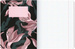 ZESZYT TOP SECRET GARDEN A4/60 KARTEK KRATKA 