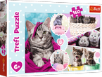 PUZZLE 160 ELEMENTÓW UROCZE KOTKI KOTY KOT UKŁADANKA TREFL 15371