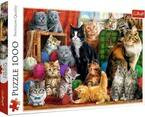 PUZZLE 1000 ELEMENTÓW KOCIE SPOTKANIE KOTY KOTKI WŁÓCZKA TREFL 10555