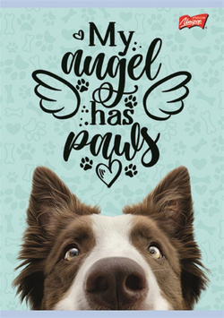 ZESZYT DO SŁÓWEK A6 KRATKA 16 KARTEK NOTATNIK SZKOLNY ST.MAJEWSKI - 8 sztuk