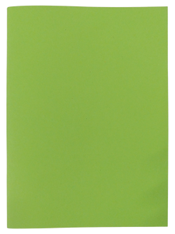 ZESZYT W PRZERYWANE LINIE A5 30 KARTEK NA ZAMÓWIENIE KREDOWY ZIELONY JASNY