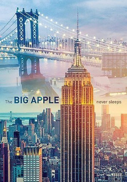 PUZZLE NOWY JORK O ŚWICIE NEW YORK 1000 EL - TREFL