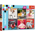 PUZZLE 200 WESOŁE ZABAWNE PSY PIESKI PSIAKI KOLAŻ UKŁADANKA TREFL 13279