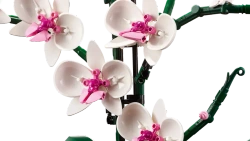 LEGO ICONS ORCHIDEA STORCZYK KWIATY OKOLICZNOŚCIOWE BOTANICAL 10311 + 40725