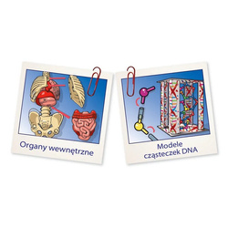 CIAŁO LUDZKIE MINI ANATOMIA CZŁOWIEKA SZKIELET NAUKOWA ZABAWA CLEMENTONI