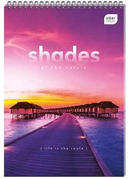 KOŁOZESZYT A4 100 KARTEK W KRATKĘ NOTES NA SPIRALI KOŁONOTATNIK INTERDRUK