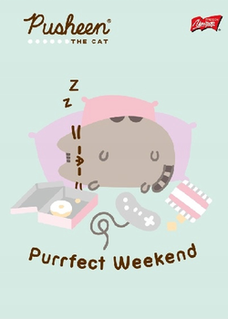 ZESZYT A5/32K KOLOROWA 3LINIA PUSHEEN MIX WZORÓW