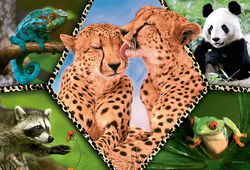 PUZZLE 100 EL PIĘKNO NATURY DISCOVERY - TREFL