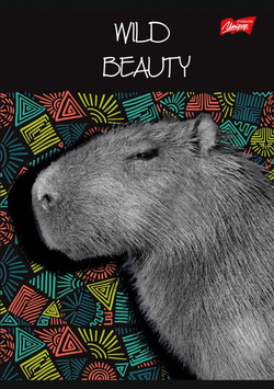 ZESZYT A5 W KRATKĘ 60 KARTEK LAMINOWANY UNIPAP MAJEWSKI WILD BEAUTY