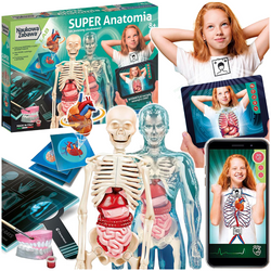 SUPER ANATOMIA POZNAJ BUDOWĘ CIAŁA CZŁOWIEKA NAUKOWA ZABAWA CLEMENTONI