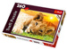 PUZZLE LWIĄTKO MAŁY LEW 260 EL - TREFL
