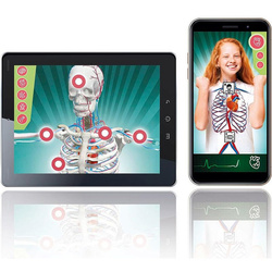 SUPER ANATOMIA POZNAJ BUDOWĘ CIAŁA CZŁOWIEKA NAUKOWA ZABAWA CLEMENTONI