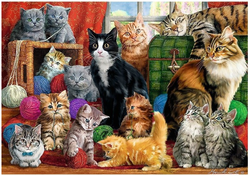 PUZZLE 1000 ELEMENTÓW KOCIE SPOTKANIE KOTY KOTKI WŁÓCZKA TREFL 10555
