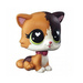 LITTLEST PET SHOP FIGURKA EDYCJA SPECJALNA FELINA