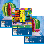 BLOK DO MALOWANIA CREATINIO A3 BIAŁY 20 KARTEK 120g TOP 2000 - 3 sztuki