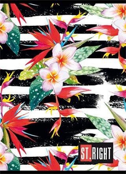 ZESZYT A5 ST.RIGHT 60 K LINIA TROPICAL STRIPES