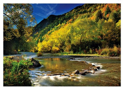 PUZZLE ARROW RIVER NOWA ZELANDIA 1000 EL - TREFL