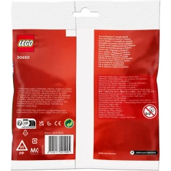 LEGO NINJAGO BITWA KAIA I RAPTONA W ŚWIĄTYNI FIGURKI SASZETKA 30650