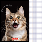 ZESZYT A5 KRATKA 60 KARTEK Z MARGINESEM HERLITZ CRAZY ANIMALS ZWIERZĘTA