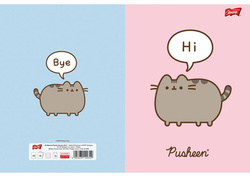 ZESZYT A5 W KRATKĘ 60 KARTEK LAMINOWANY UNIPAP MAJEWSKI PUSHEEN KOTEK