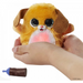INTERAKTYWNY PIESEK ZMIENIA KOLOR FURREAL HASBRO