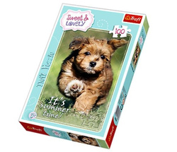 PUZZLE ZABAWA LATEM PIES PIESEK 100 EL - TREFL