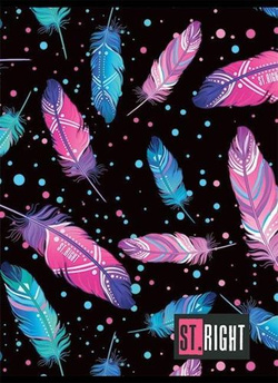 ZESZYT A5 ST.RIGHT 60 KARTEK KRATKA FEATHERS PIÓRA