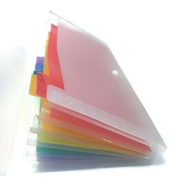 TECZKA ORGANIZER NA ZATRZASK TRANSPARENTNY PP DL 6 PRZEKŁADEK STRIGO