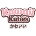 MIŚ W PRZEBRANIU JEŻYK PLUSZAK MASKOTKA PRZYTULANKA 18 CM KAWAII KUTIES