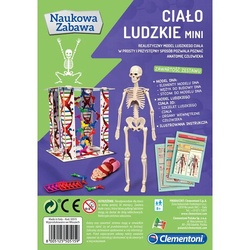 CIAŁO LUDZKIE MINI ANATOMIA CZŁOWIEKA SZKIELET NAUKOWA ZABAWA CLEMENTONI