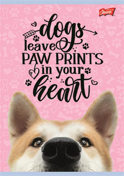 ZESZYT DO SŁÓWEK A6 KRATKA 16 KARTEK NOTATNIK SZKOLNY ST.MAJEWSKI - 8 sztuk