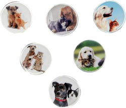 MAGNESY OKRĄGŁE SZKLANE 30mm FUN JOY PSY I KOTY 6 sztuk DO TABLIC TITANUM