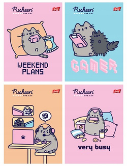 ZESZYT A5/32K KOLOROWA 3LINIA PUSHEEN MIX WZORÓW