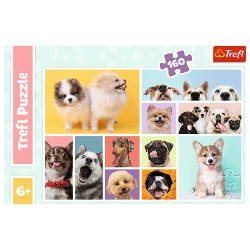 PUZZLE 160 ELEMENTÓW PSIA PRZYJAŹŃ PSY PIESKI UKŁADANKA KOLAŻ TREFL 15412