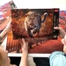 PUZZLE 1000 ELEMENTÓW PREMIUM PLUS DZIKI LEOPARD LAMPART 10818 TREFL