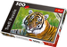 PUZZLE TYGRYS  500 EL - TREFL 37192
